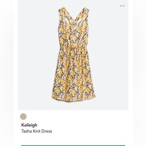 Kaileigh Tasha Knit Dress